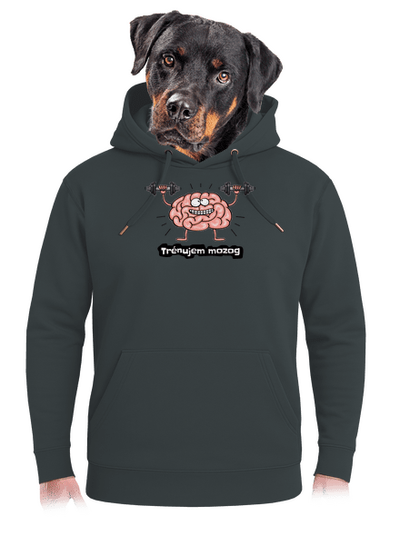 Trénujem mozog  unisex mikina premium Charcoal