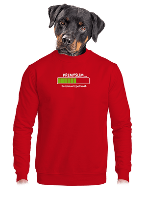 unisex mikina bez kapucne