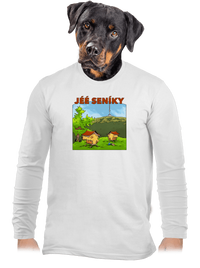 pánske dlhý rukáv