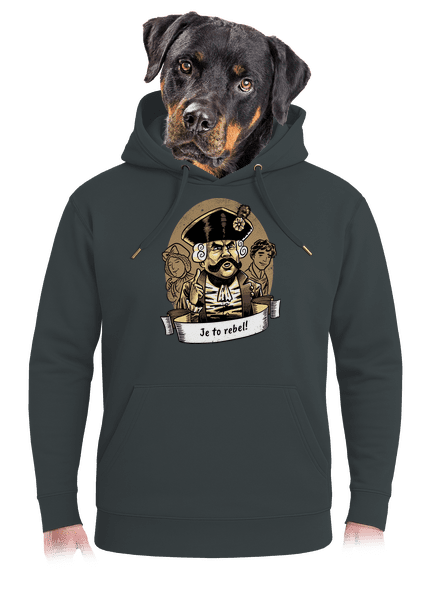B14: S čerty nejsou žerty unisex mikina premium Charcoal