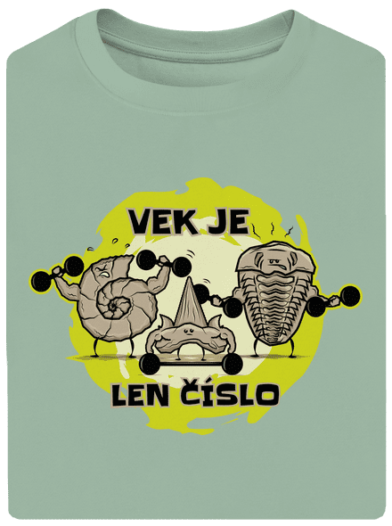 Vek je len číslo unisex tričko oversized Sage