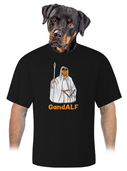 GandALF unisex tričko oversized Black
