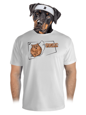 Mačací horoskop: Strelec pánske športové tričko White