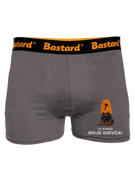 Tu strážim ja boxerky Gray Melange
