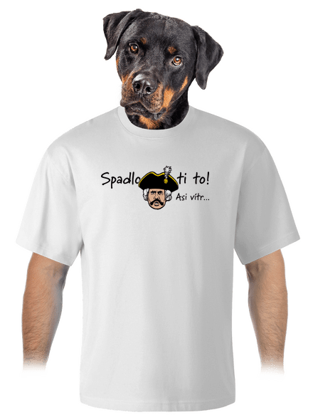Spadlo ti to unisex tričko oversized White