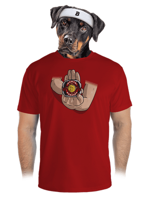 pánske športové tričko