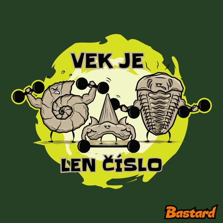 Vek je len číslo