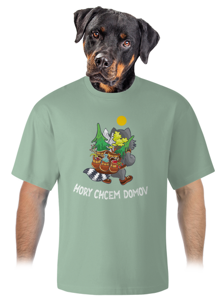 Hory chcem domov unisex tričko oversized Sage