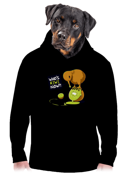 Kiwi pánska mikina klokanka Black