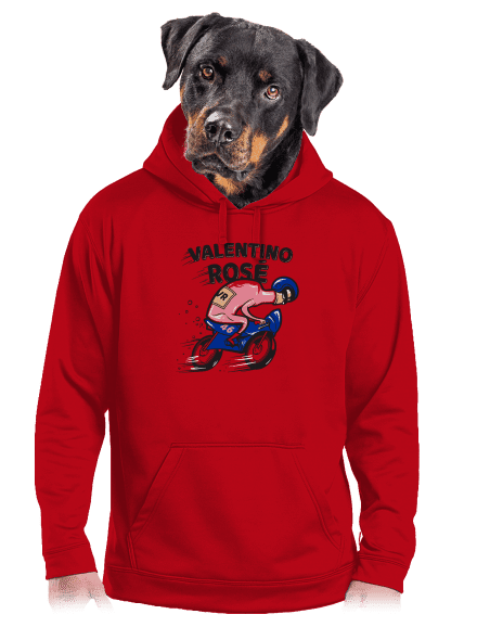 Valentino Rosé pánska mikina klokanka Red