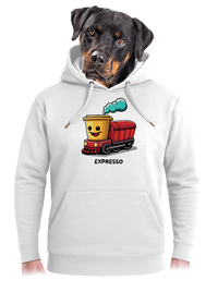 unisex mikina premium