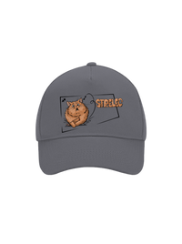 šiltovka baseballka