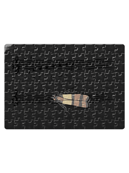 A - moll puzzle White