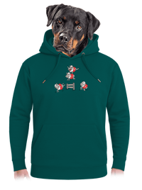 unisex mikina premium