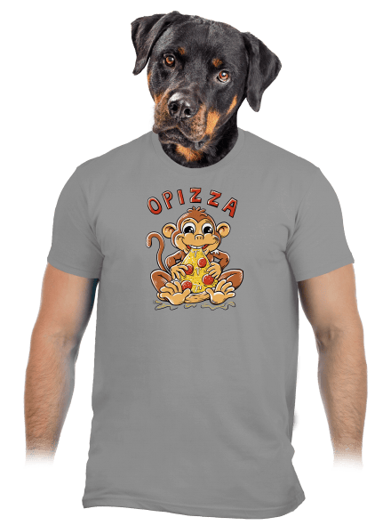 Opizza pánske tričko Sport Grey