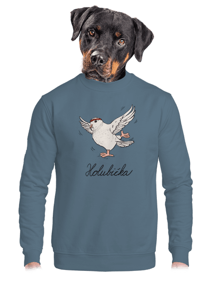 Holubička unisex mikina bez kapucne Nordic Blue