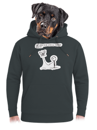 unisex mikina premium