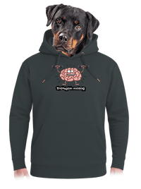 unisex mikina premium