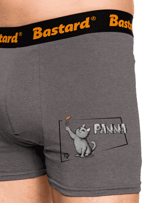 Mačací horoskop: Panna boxerky Gray Melange