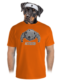 pánske športové tričko