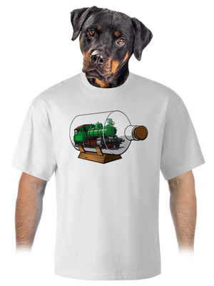 Lokomotíva vo fľaši unisex tričko oversized White