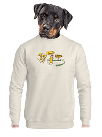 unisex mikina bez kapucne