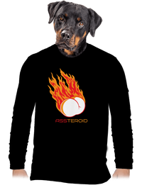 pánske dlhý rukáv