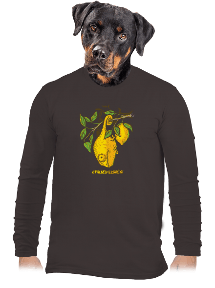 Citrón pánske dlhý rukáv Bear Brown