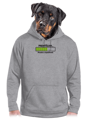 Premýšľam pánska mikina klokanka Light Melange