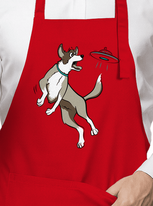 Lietajúci tanier zástera Red