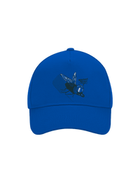 šiltovka baseballka