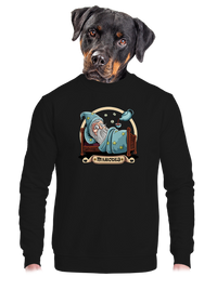 unisex mikina bez kapucne