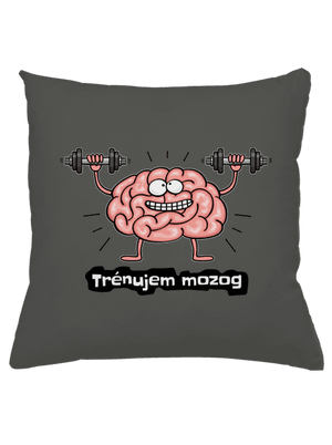 Trénujem mozog  vankúš Gray Pol