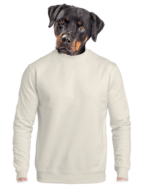 Bez potlače unisex mikina bez kapucne Off White