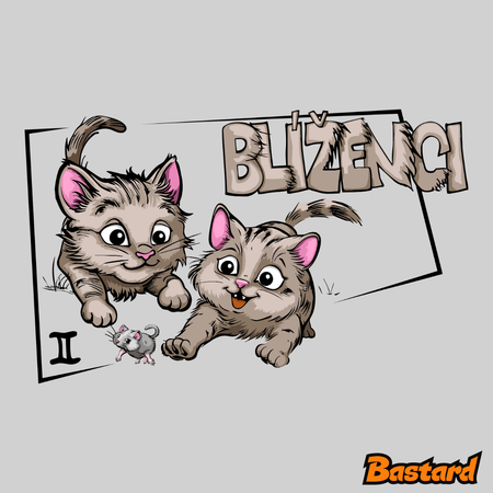 Mačací horoskop: Blíženci
