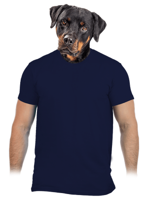 Bez potlače pánske tričko Navy