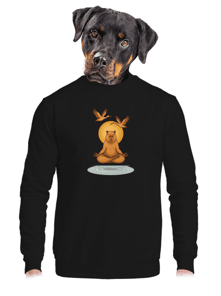 Som v zenu unisex mikina bez kapucne Black