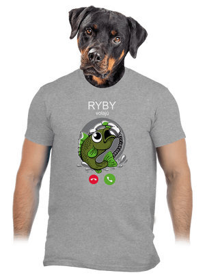 Ryby volají pánske tričko Sport Grey
