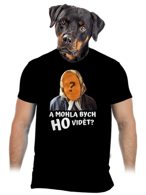 Mohla bych ho vidět? pánske tričko Black