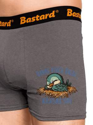 Ranné vtáča spí boxerky Gray Melange