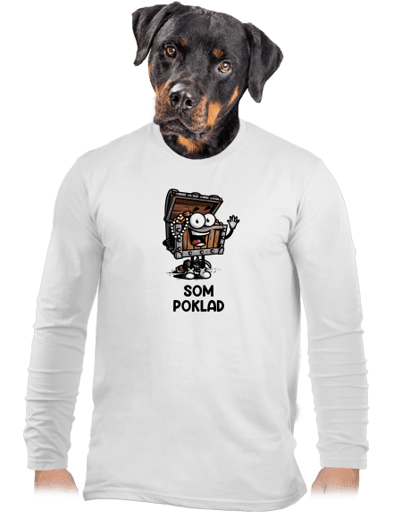 Som poklad pánske dlhý rukáv White
