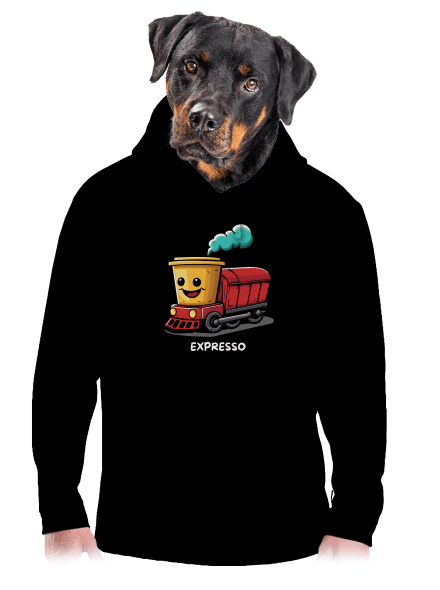 Expresso pánska mikina klokanka Black