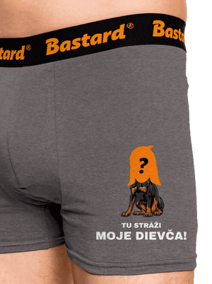 Tu strážim ja boxerky Gray Melange