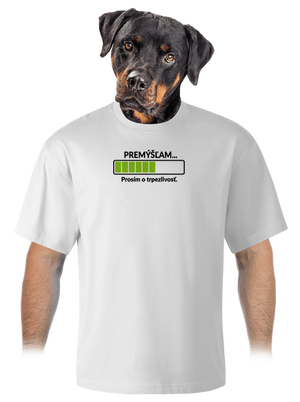 Premýšľam unisex tričko oversized White