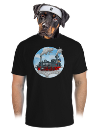 pánske športové tričko