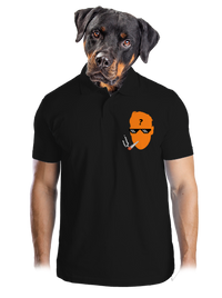 pánska polokošeľa