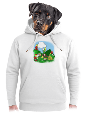 Ako sa stavia nový level? unisex mikina premium Snowwhite