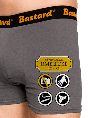 Umelecké dielo boxerky Gray Melange