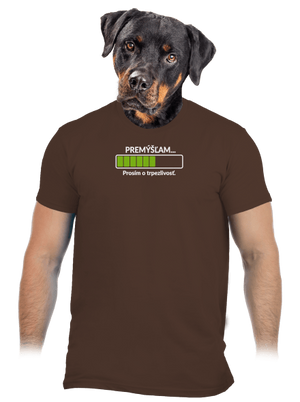 Premýšľam pánske tričko Brown