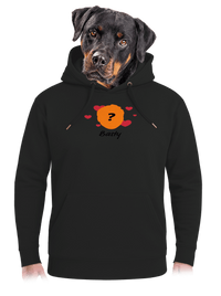 unisex mikina premium